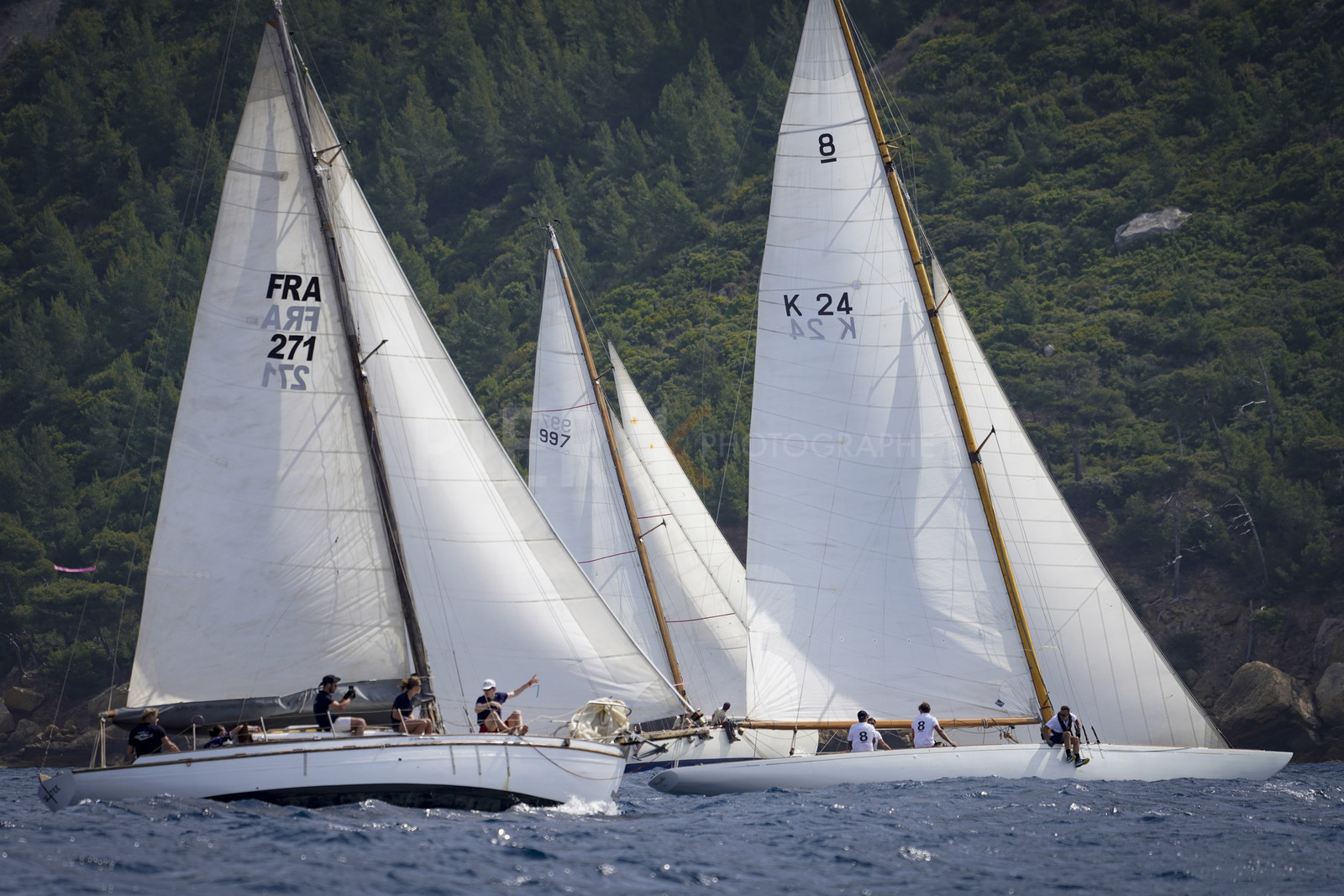 _DSC7039.jpg