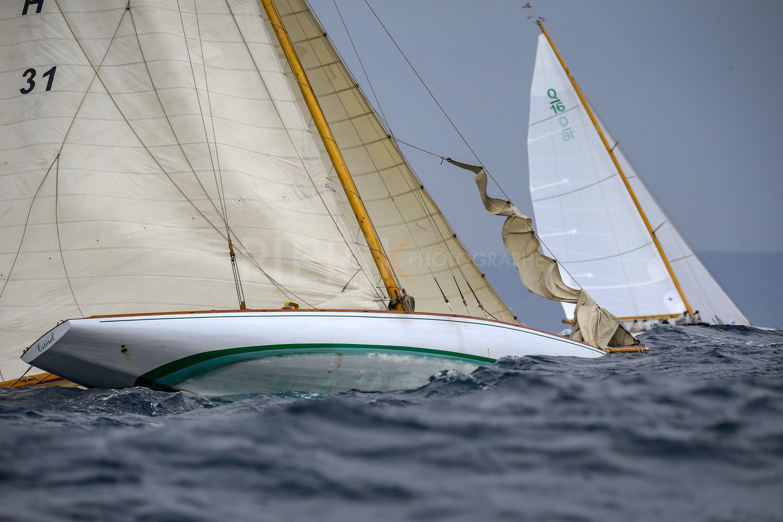 A29X7904.jpg
