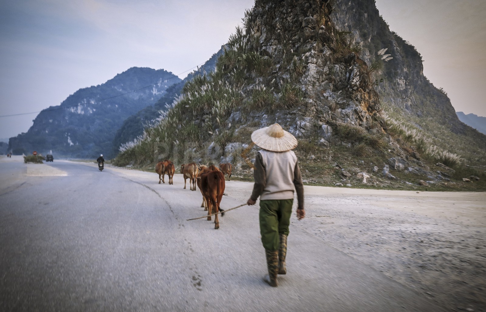 Tam Coc-68.jpg