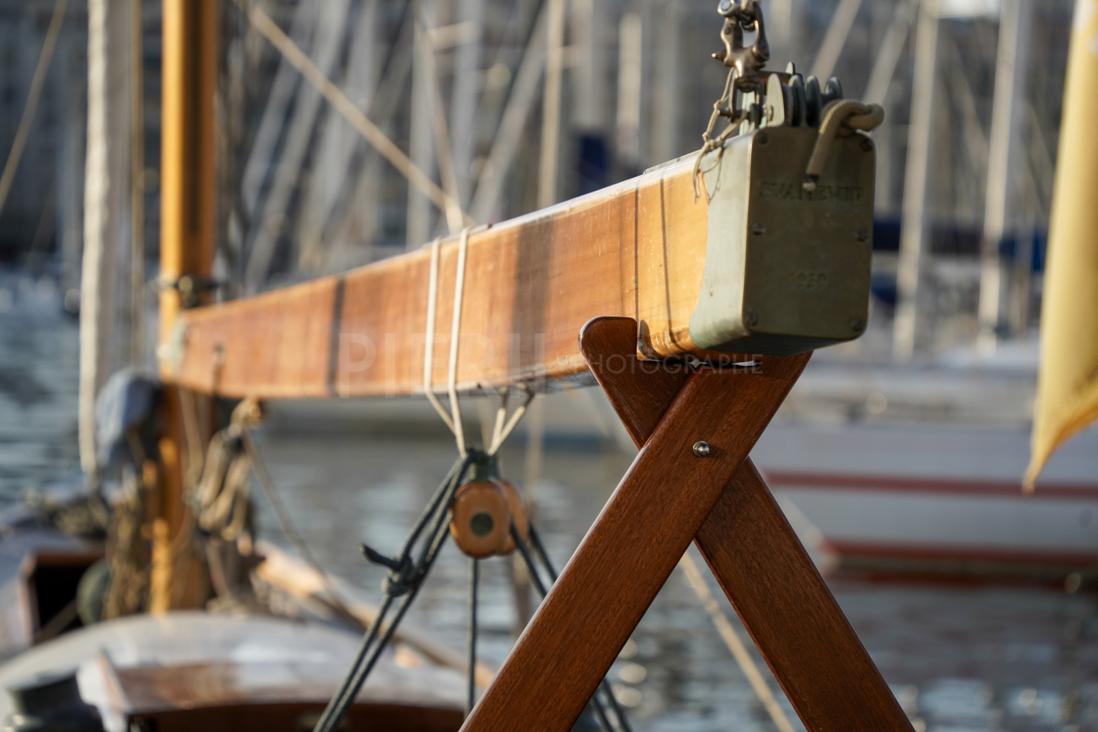 _DSC4566.jpg
