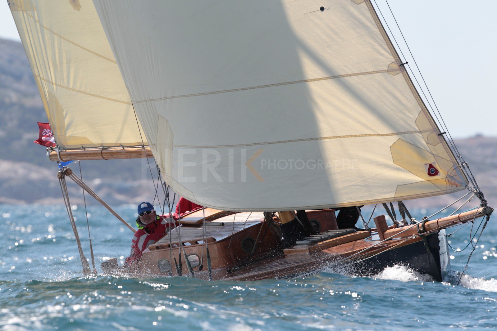 Windhover