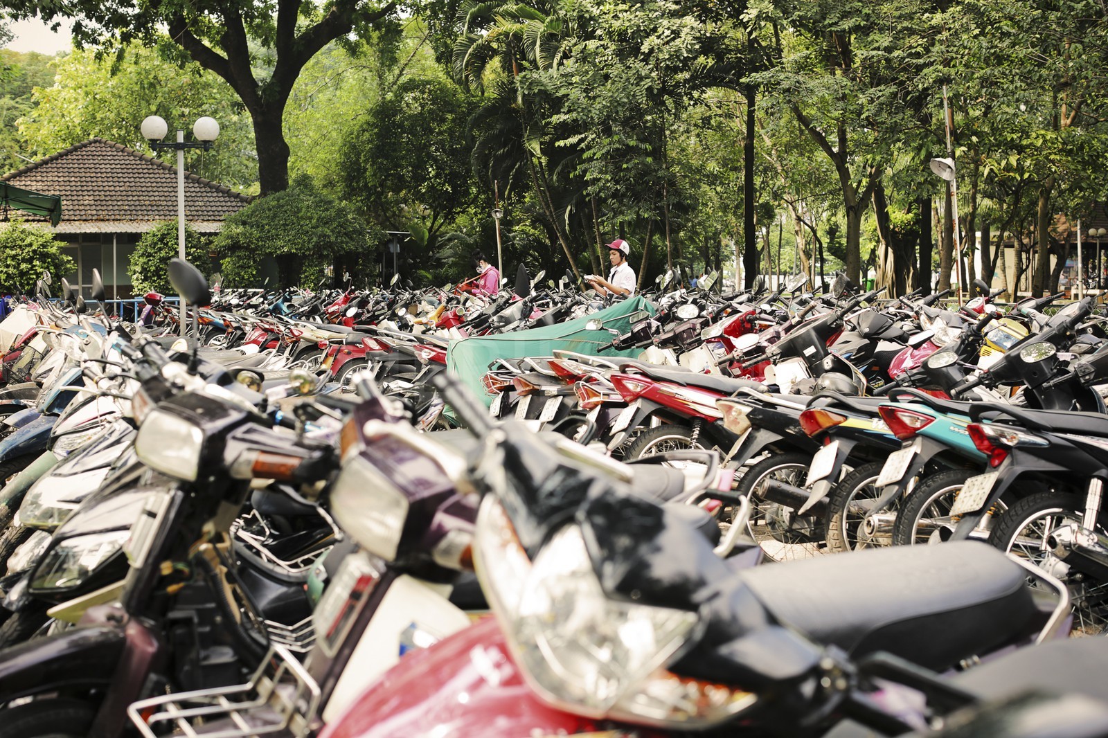 HoChiMinh-3.jpg