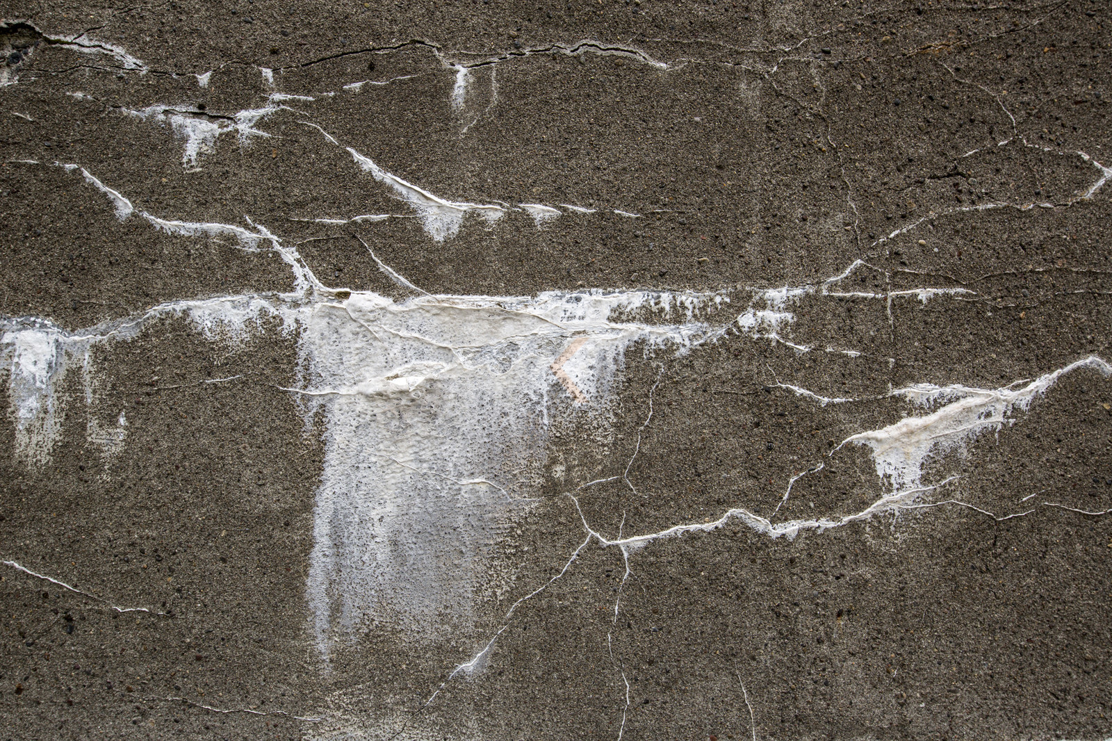 O60A9008.jpg