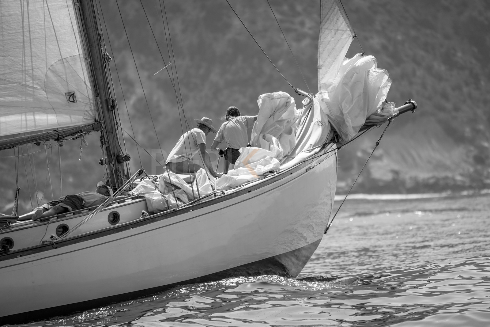 _DSC4878.jpg