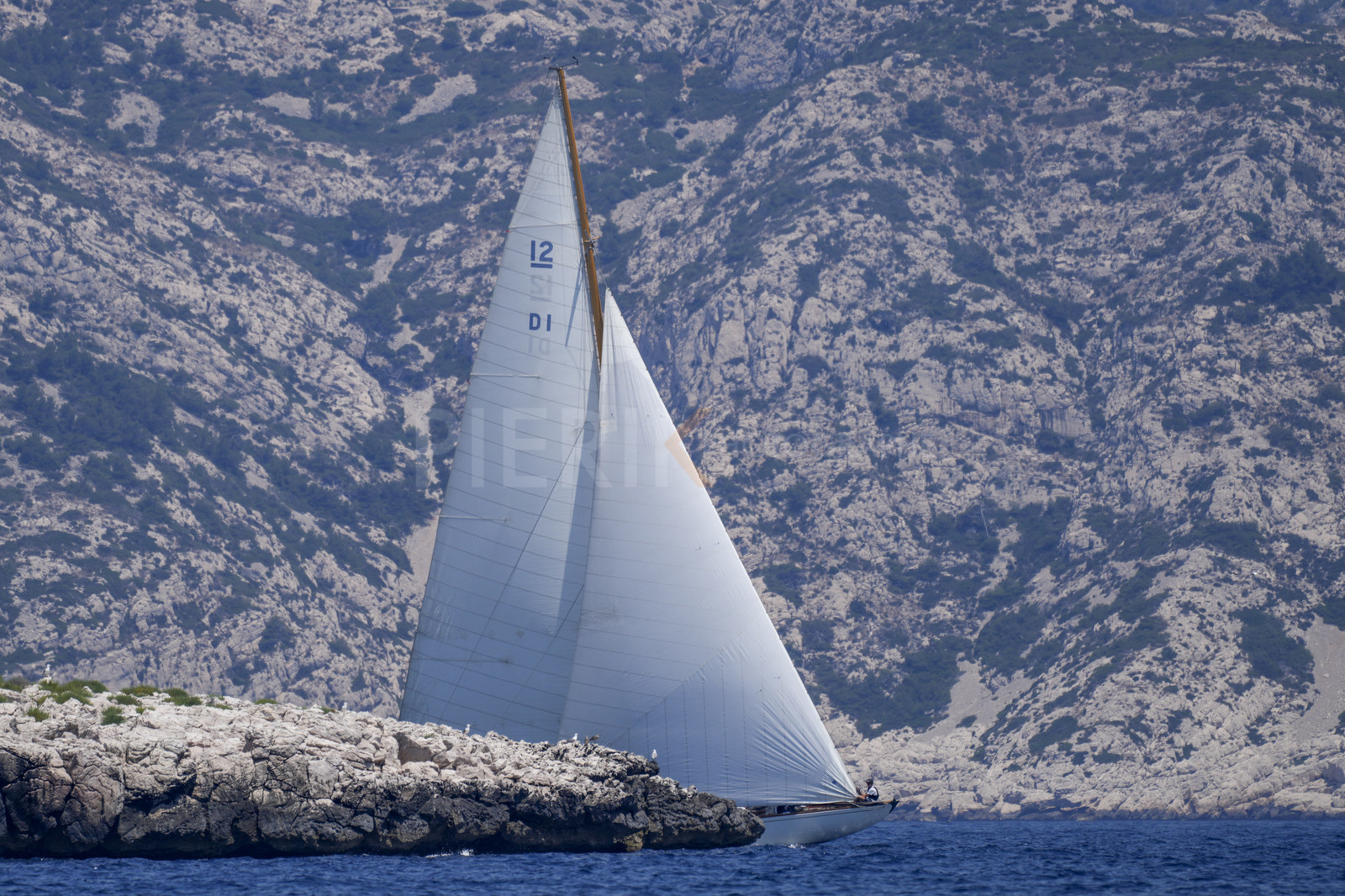 _DSC8021-b.jpg
