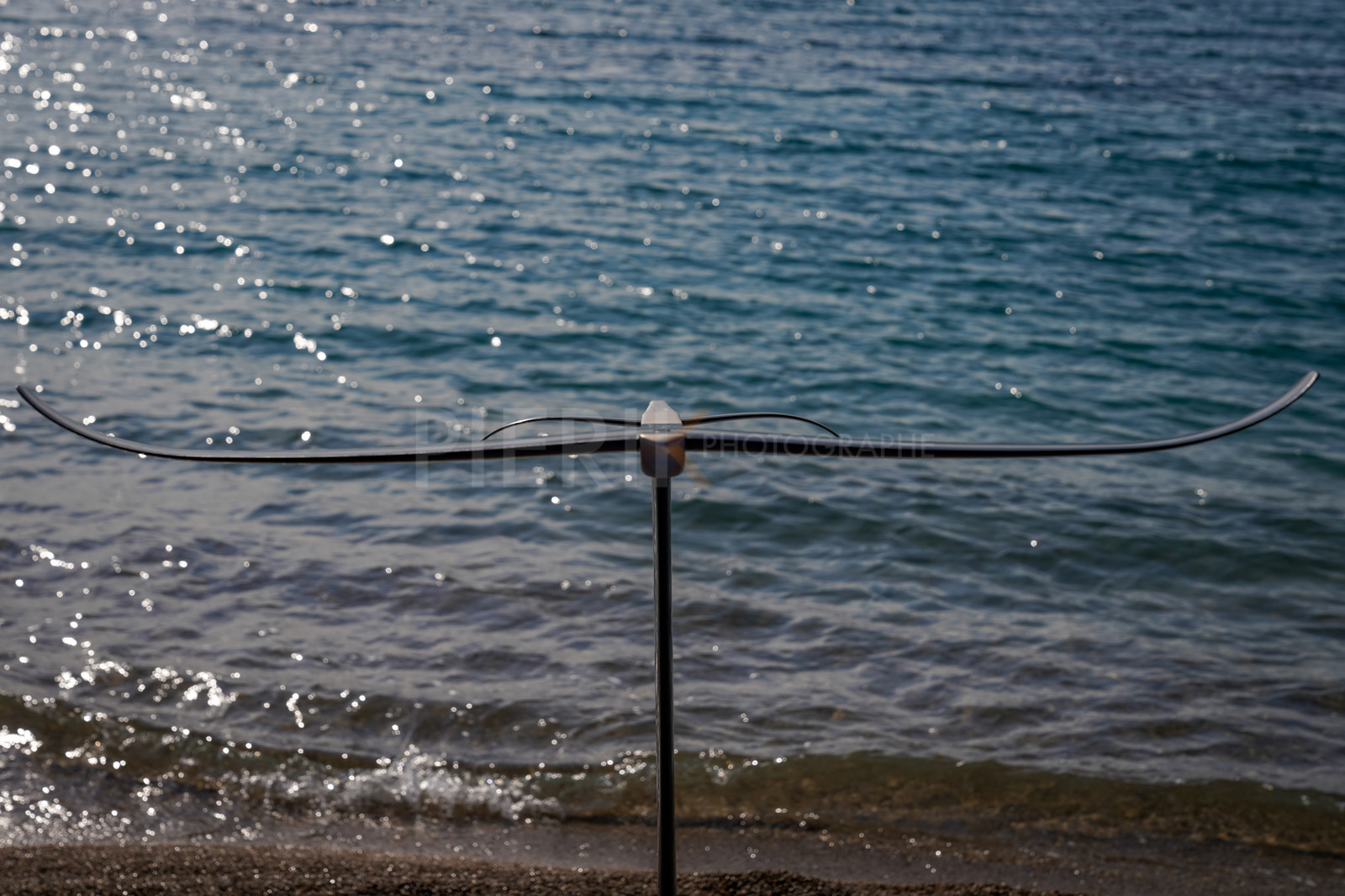 _DSC2510.jpg