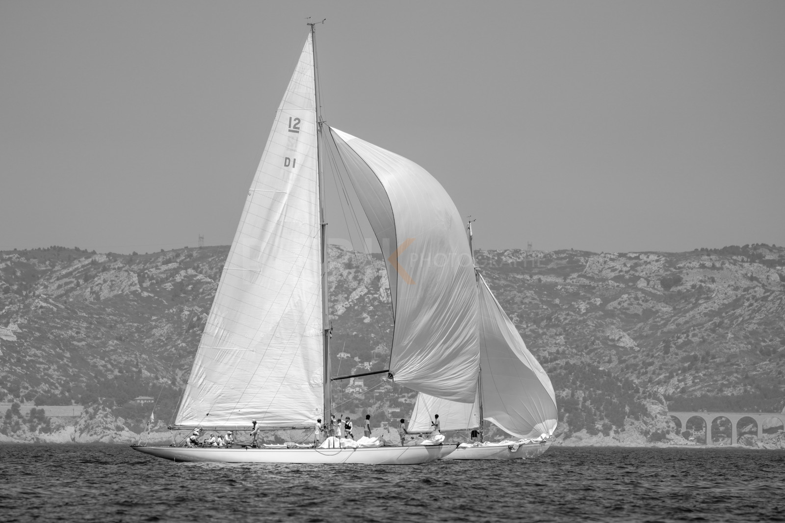 _DSC7687.jpg