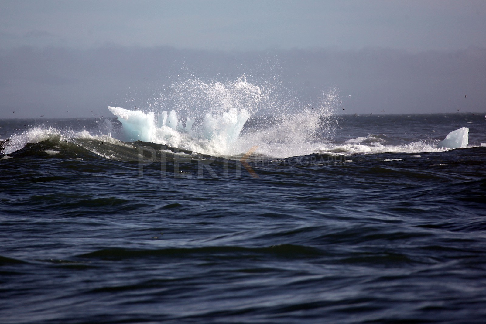 Iceberg