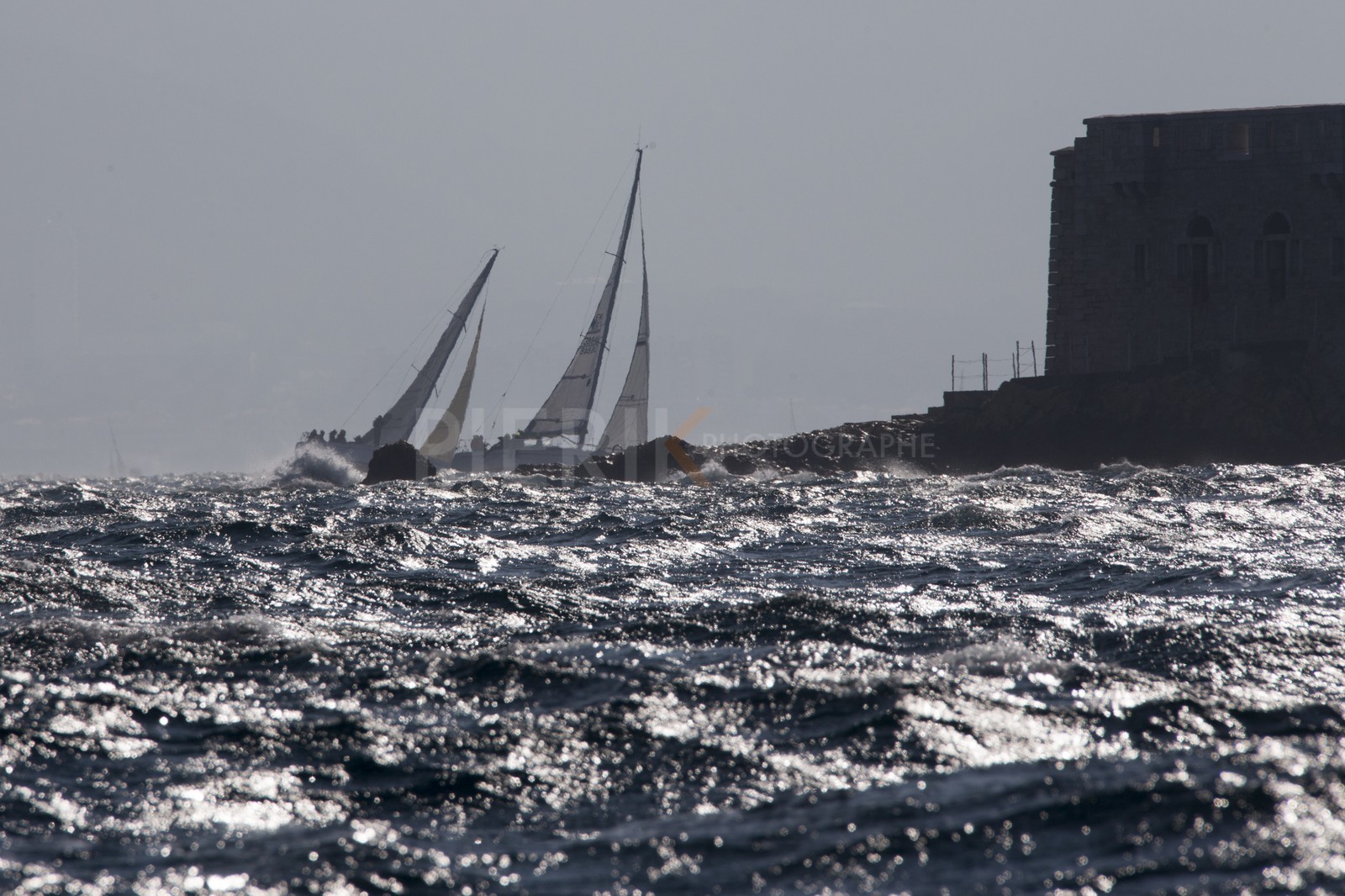 A29X2288.jpg