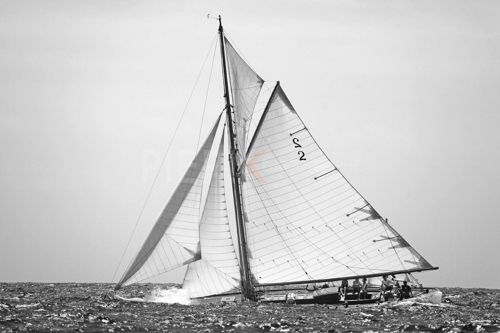 Kelpie