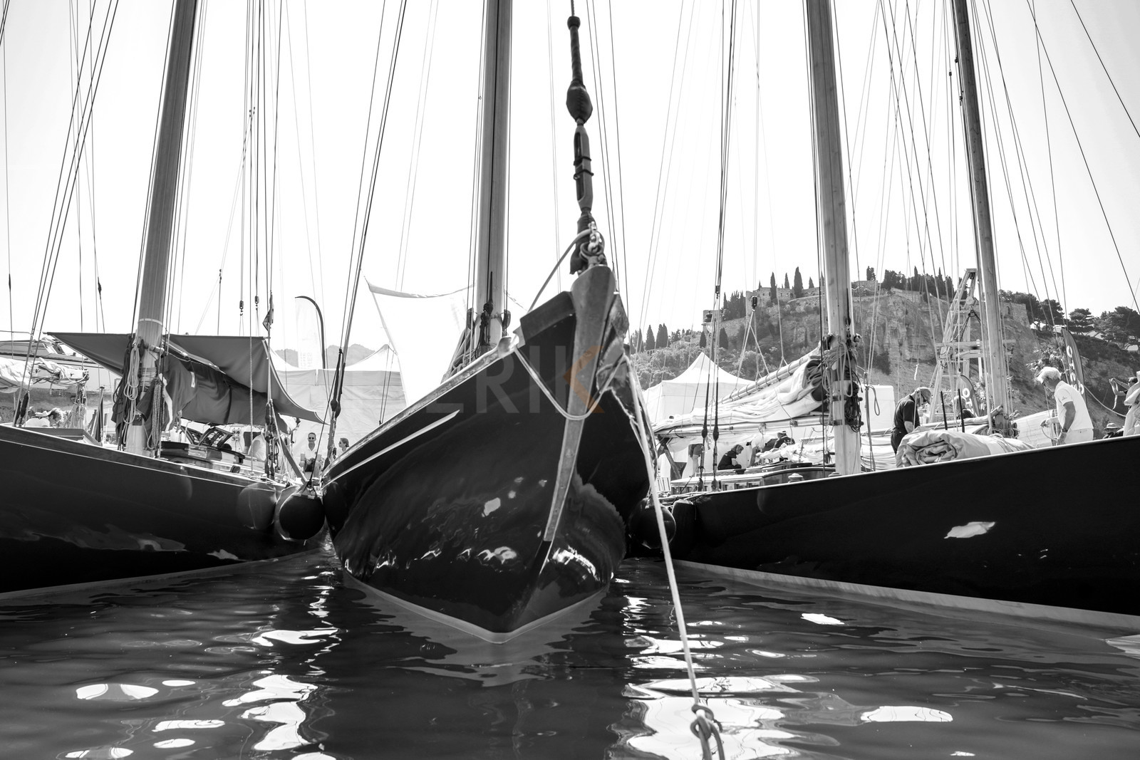 _DSC4815.jpg