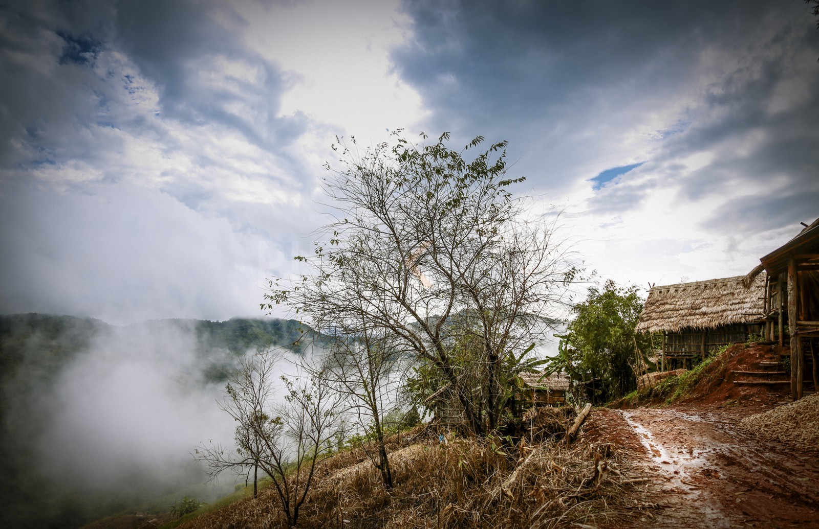 15122013-BL6A1768-Modifier.jpg