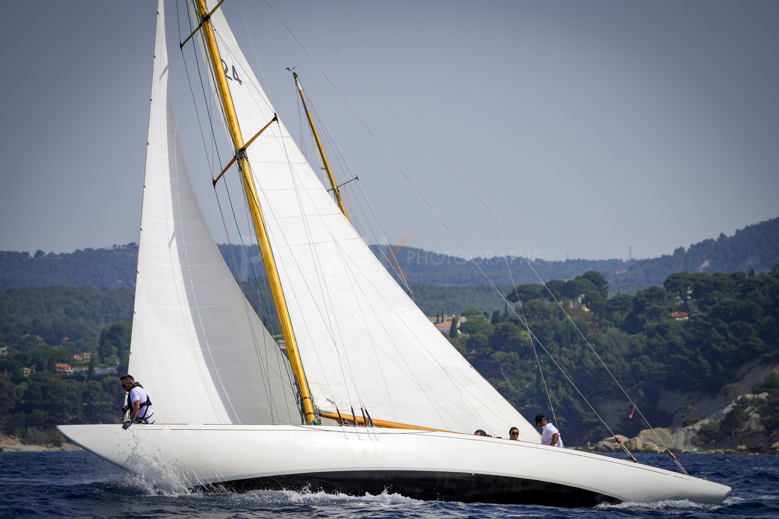 _DSC7083.jpg