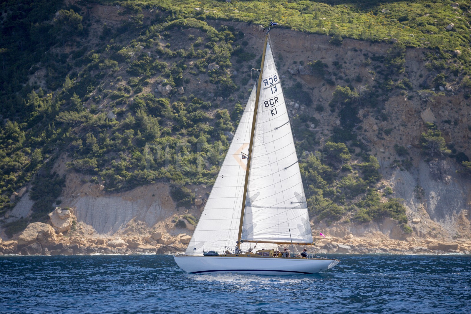 A29X6484.jpg