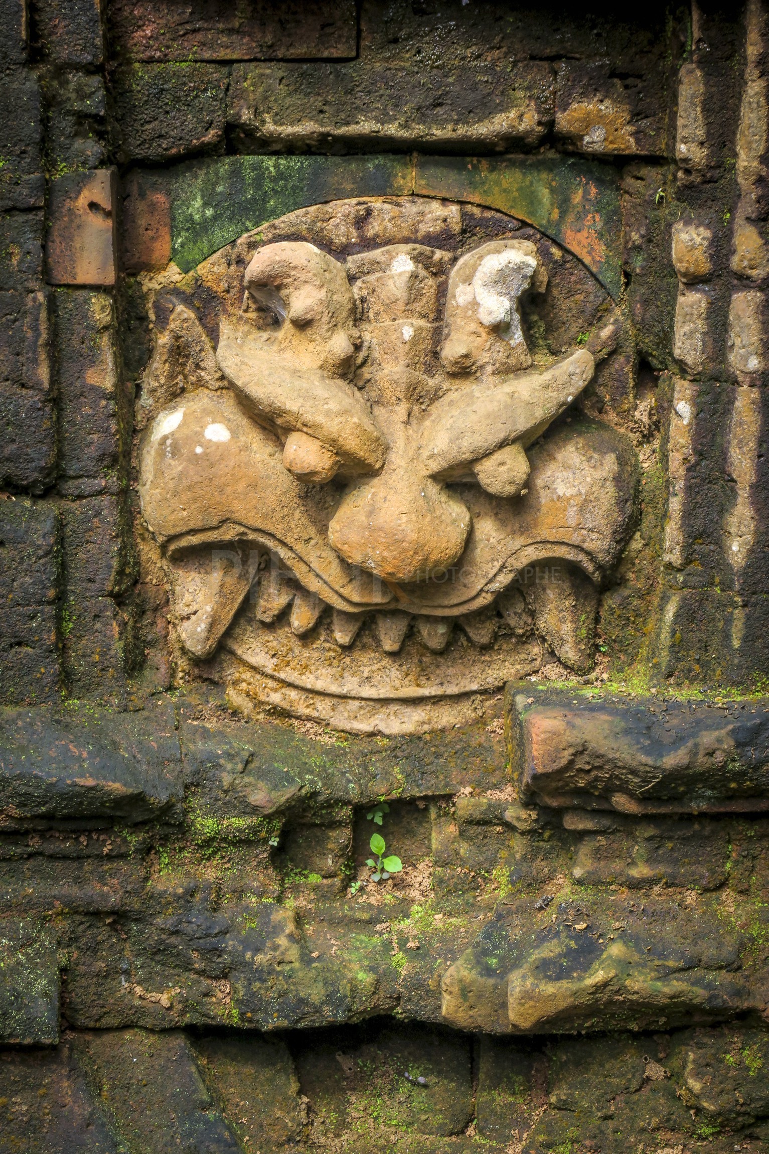 Hoi An-32.jpg