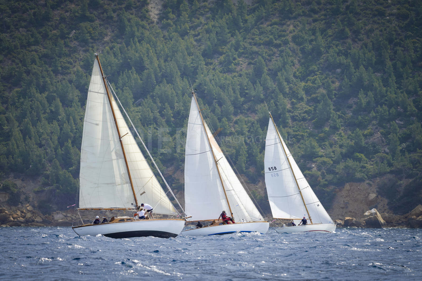 _DSC7030.jpg