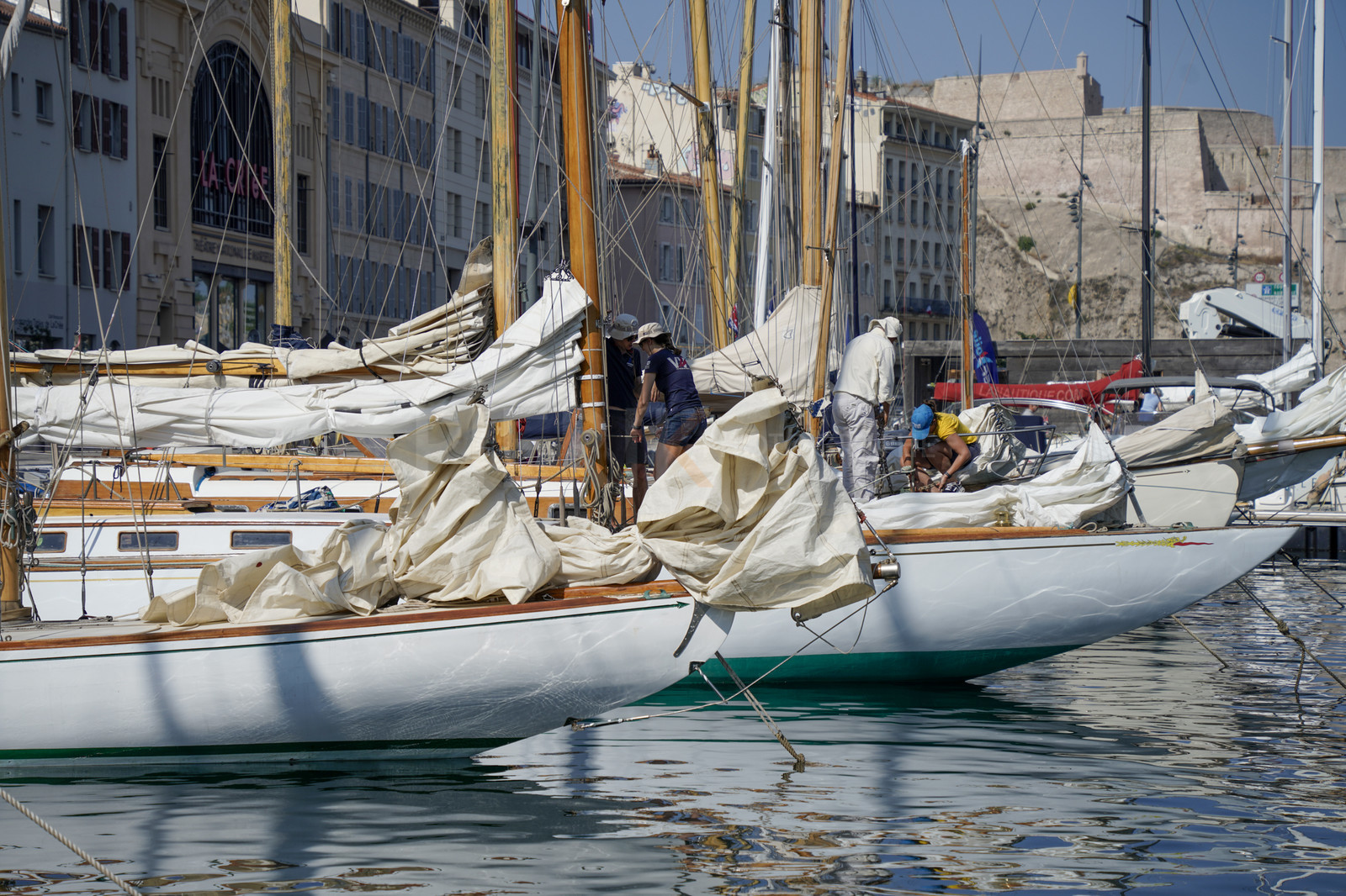 _DSC7807.jpg