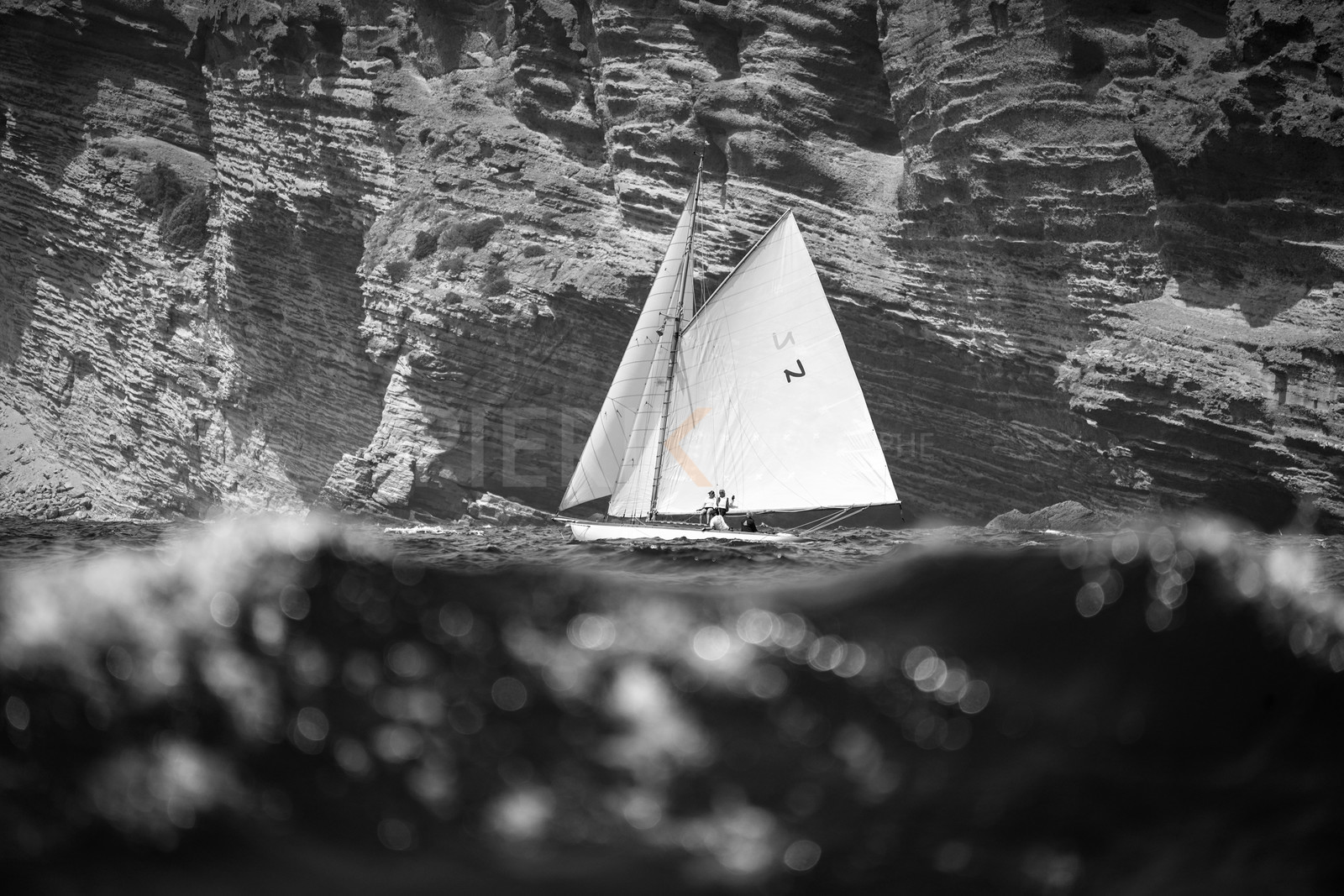 _DSC7793.jpg