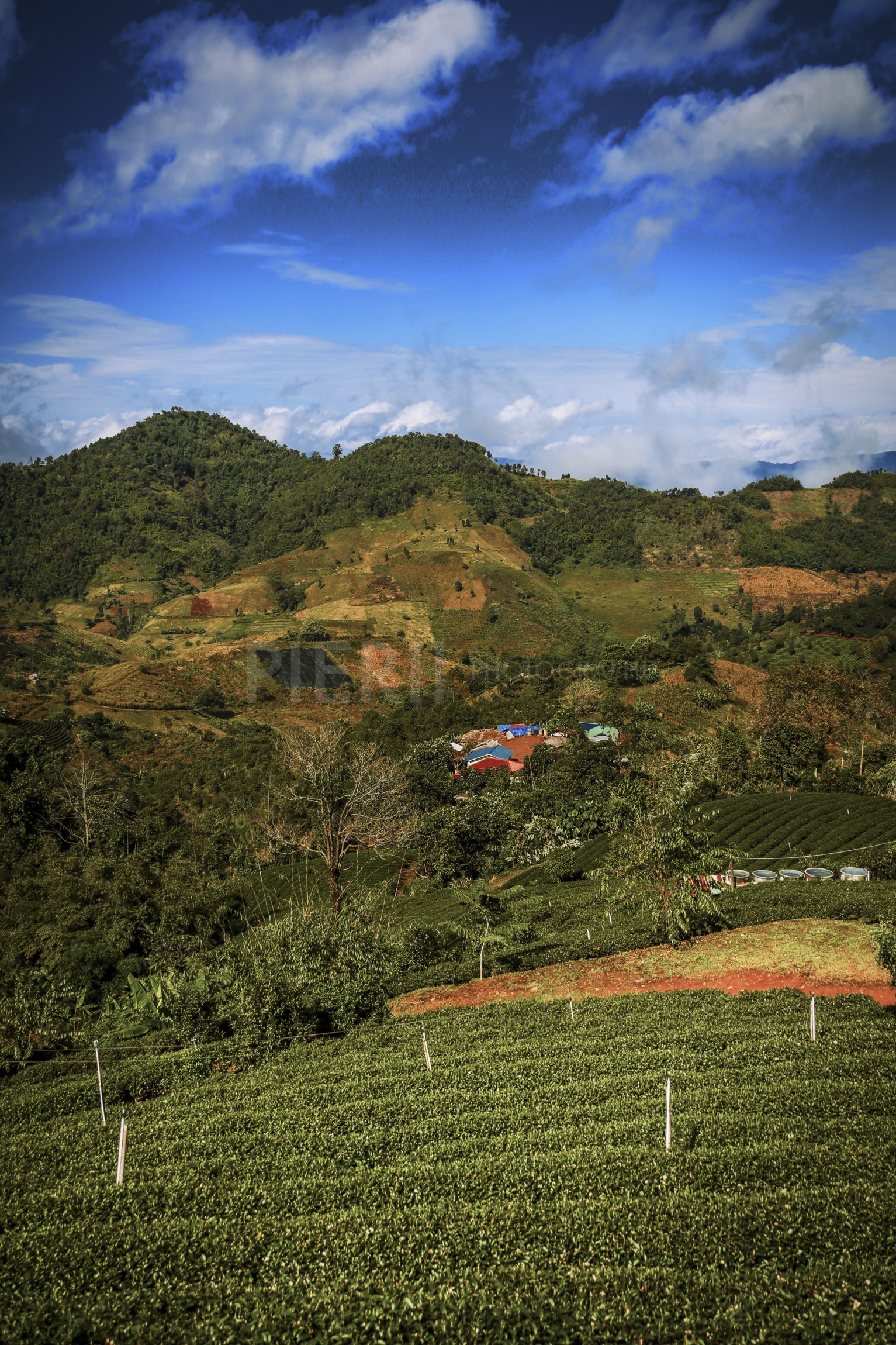 15122013-BL6A1753-Modifier.jpg