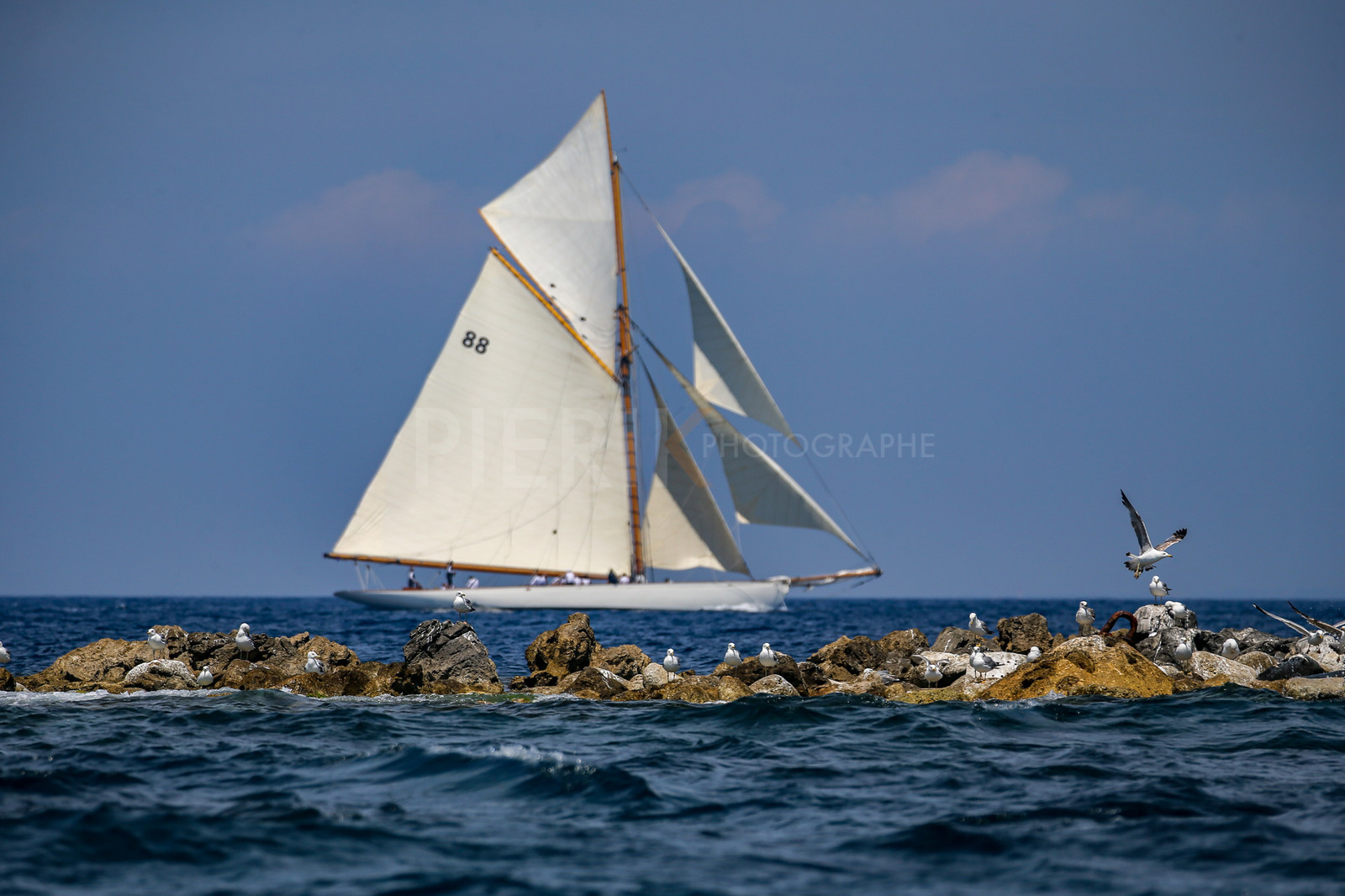 A29X1550.jpg