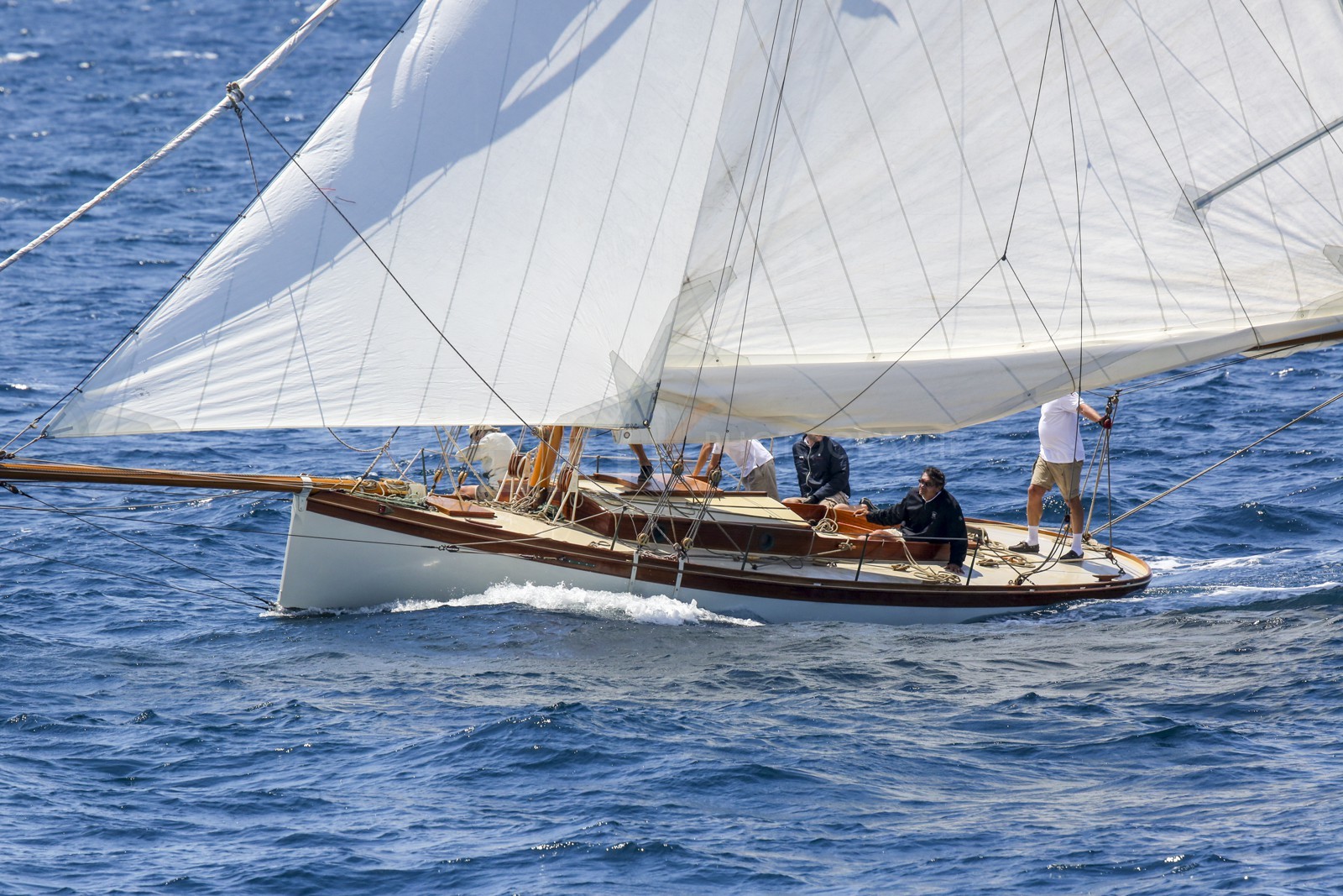 O60A1503.jpg