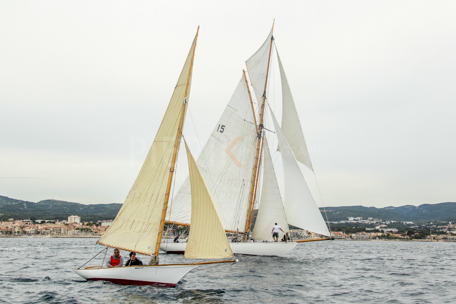 AZ0T6581.jpg