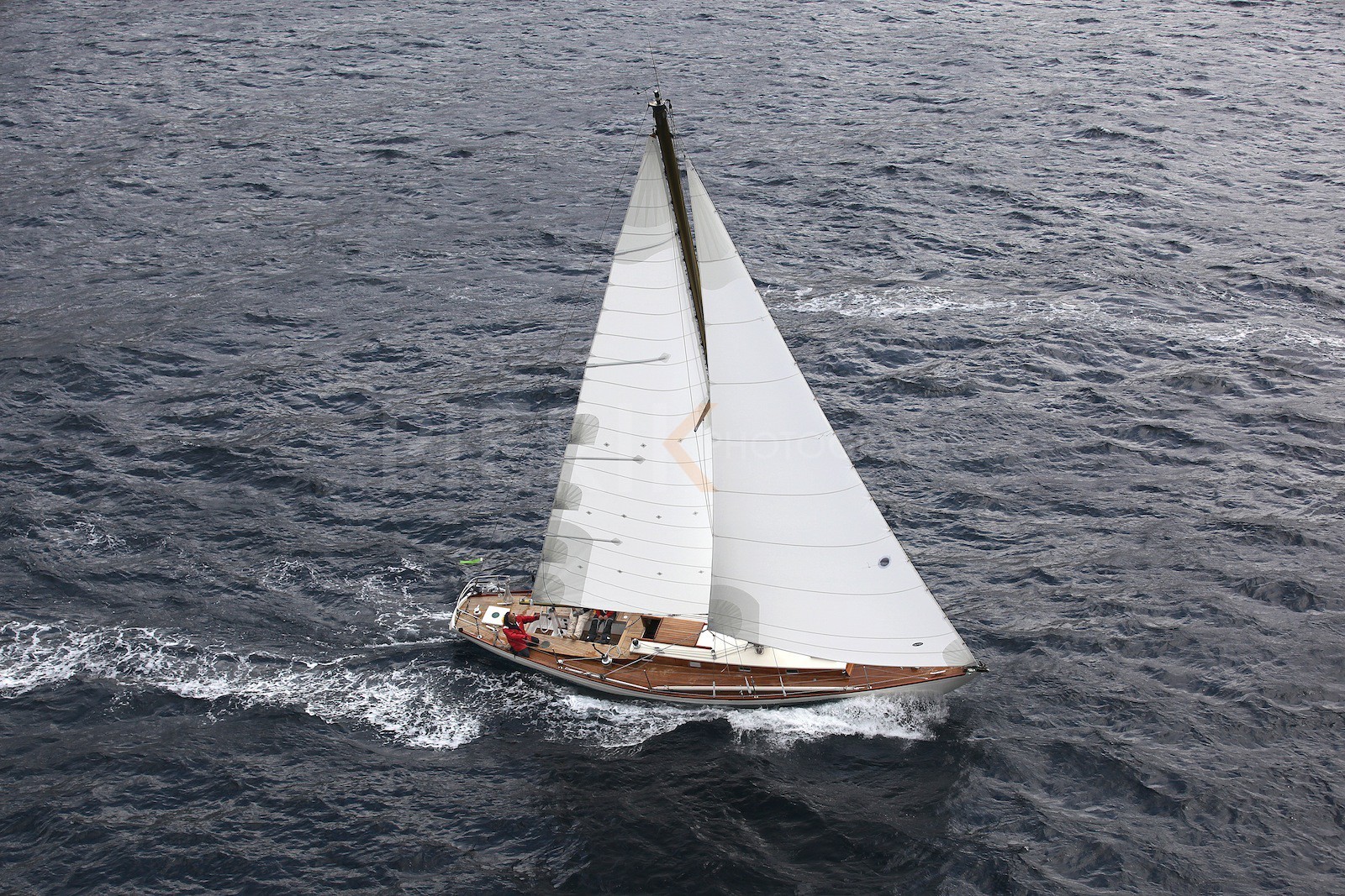 Palynodie II