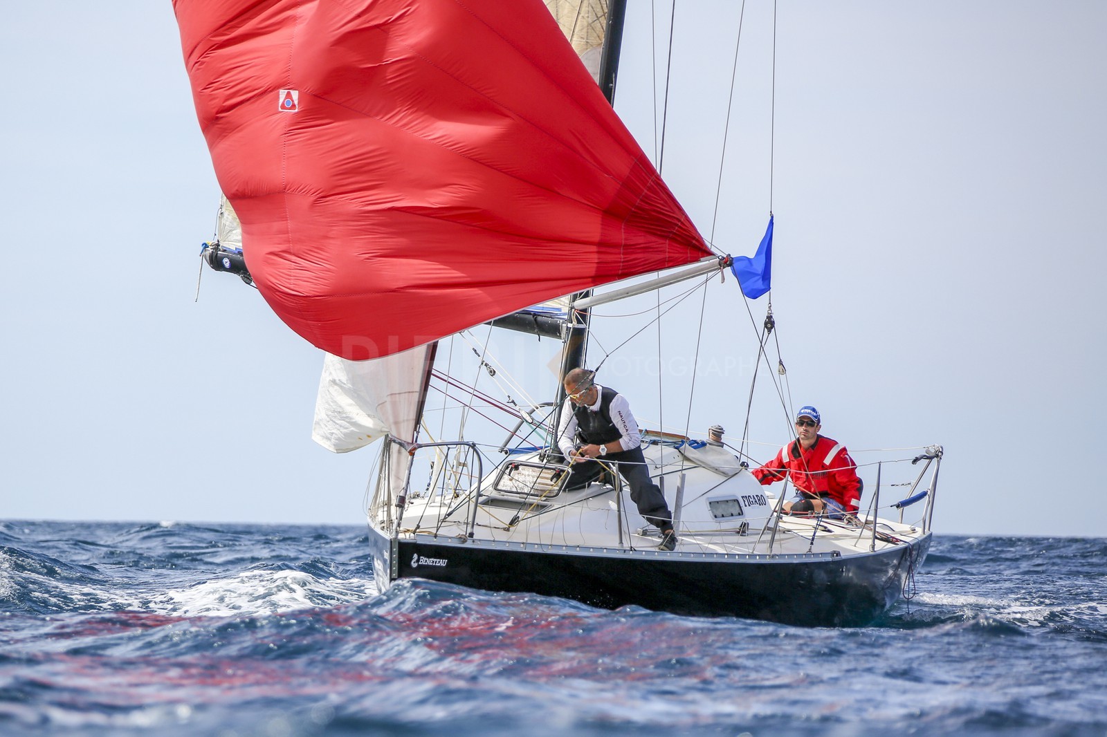 O60A2130.jpg