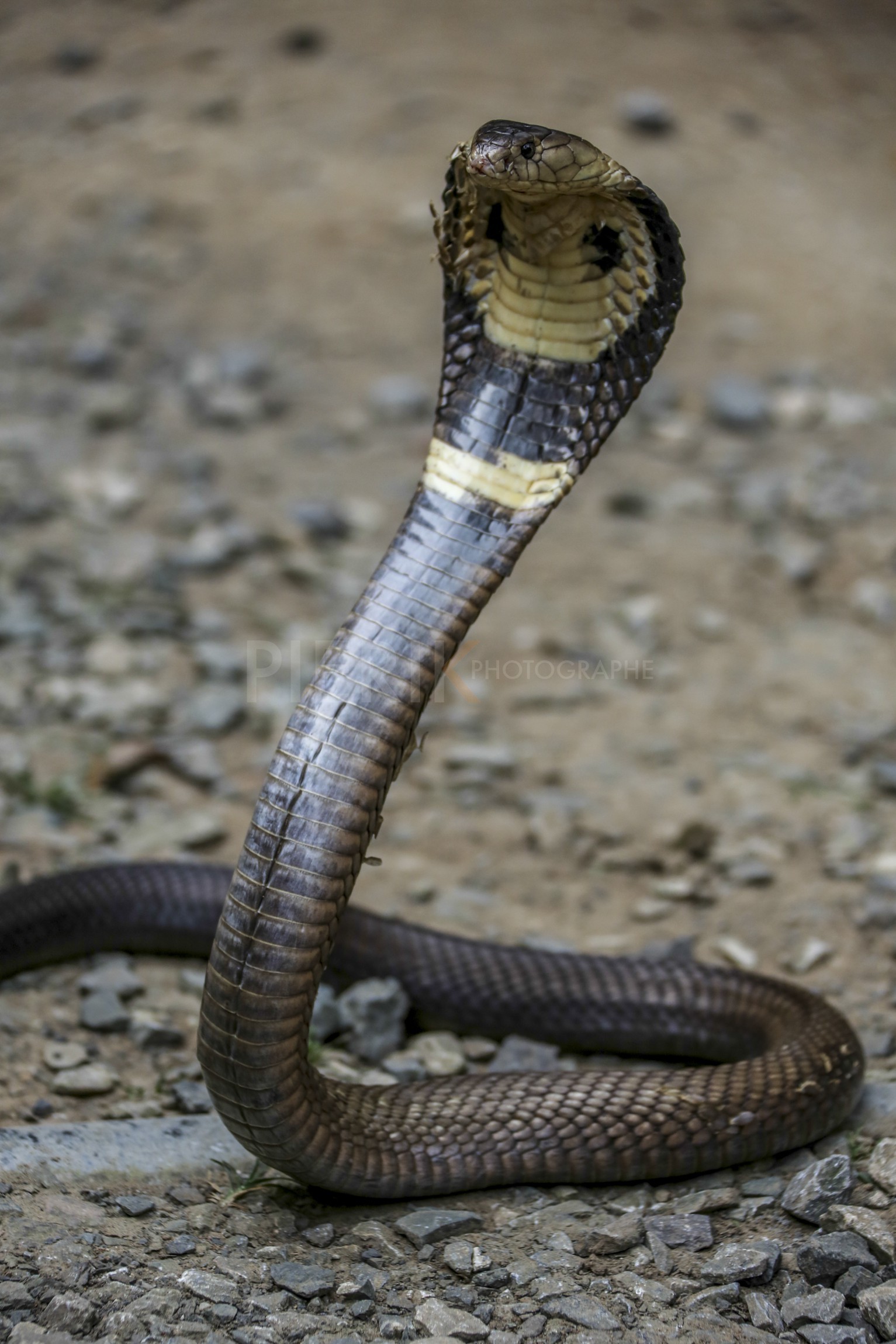 10122013-BL6A1261.jpg