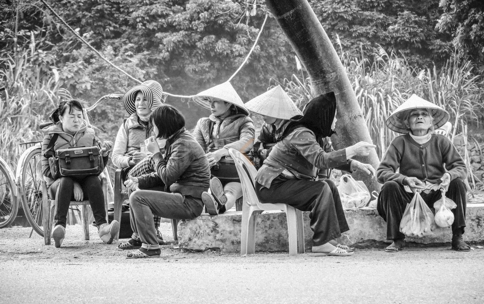 Tam Coc-49.jpg